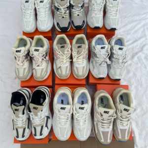 سنيكرز نايكي دانك لو